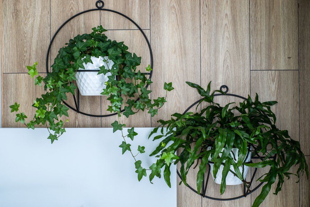 Wnętrz projektowanie-realizacje-Salon-z-kuchnia-Baranowo7